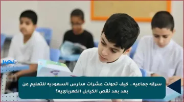 سرقة جماعية.. كيف تحولت عشرات مدارس السعودية للتعليم عن بعد بعد نقص الكيابل الكهربائية؟